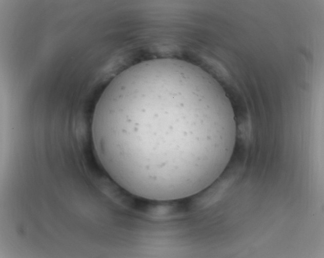 X0000114220662200910231444