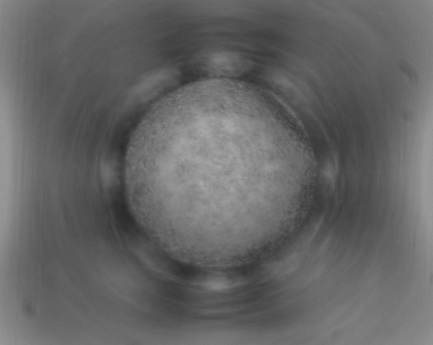 X0000114220663200910231444