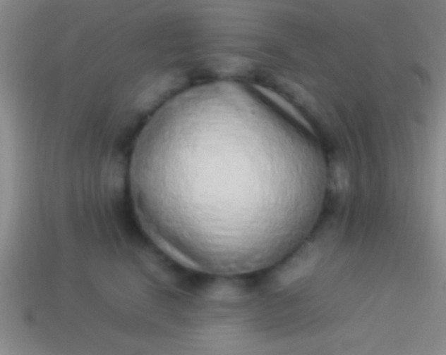 X0000114220664200910231444