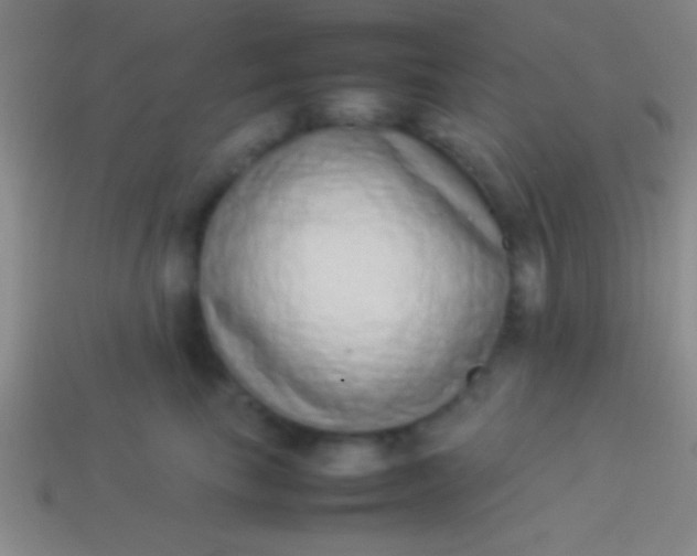 X0000114220665200910231444