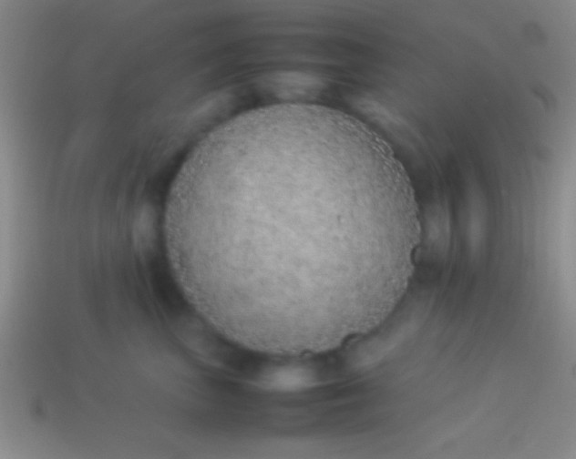 X0000114220667200910231444