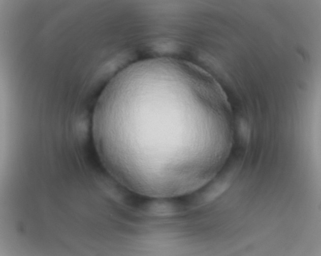 X0000114220668200910231444