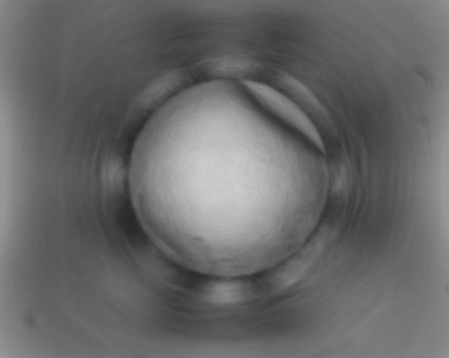 X0000114220669200910231444