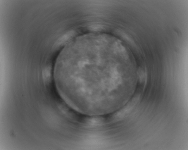 X0000114220670200910231444