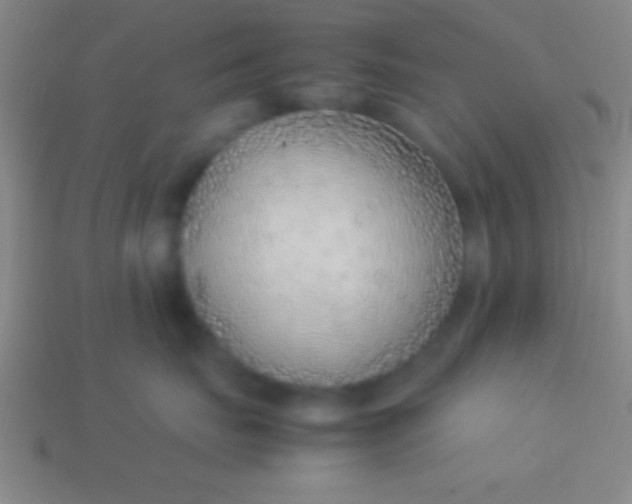 X0000114220671200910231444