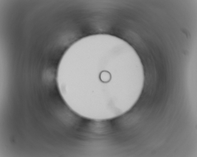 X0000114220672200910231444