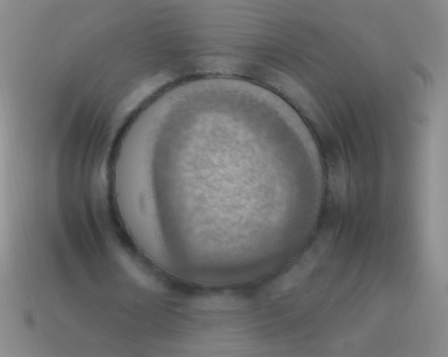 X0000114220674200910231443