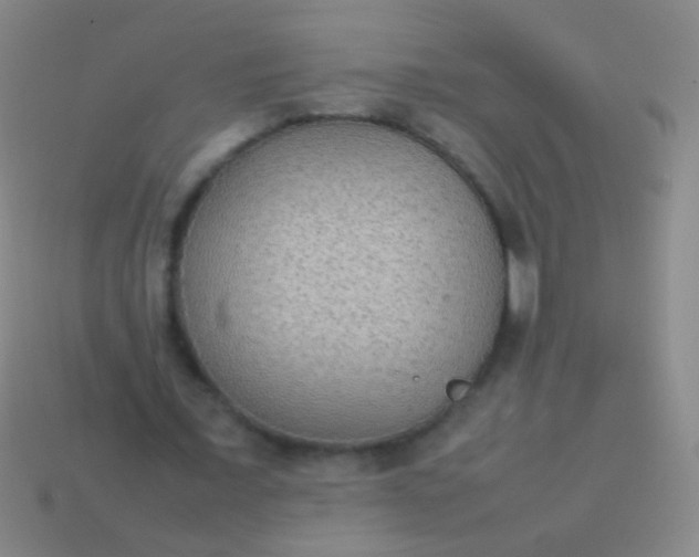 X0000114220675200910231443