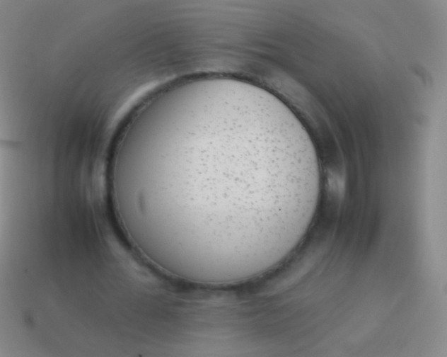 X0000114220676200910231443