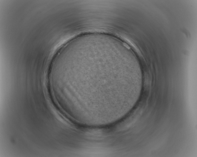 X0000114220677200910231443