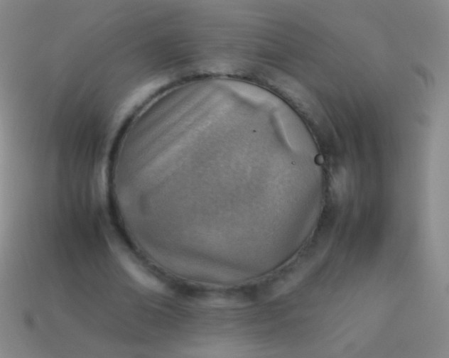 X0000114220678200910231443