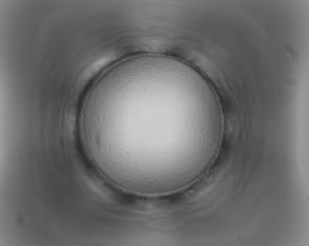 X0000114220679200910231443