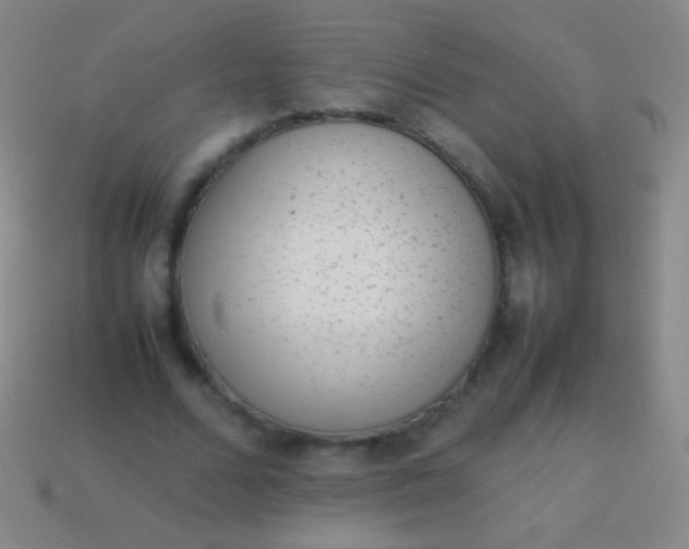 X0000114220680200910231443