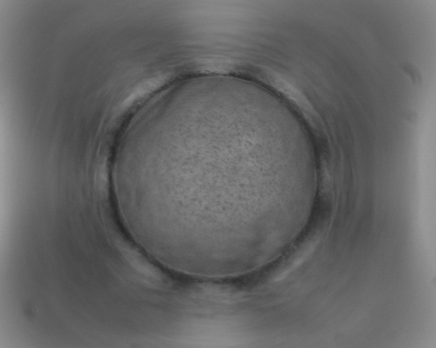 X0000114220681200910231443