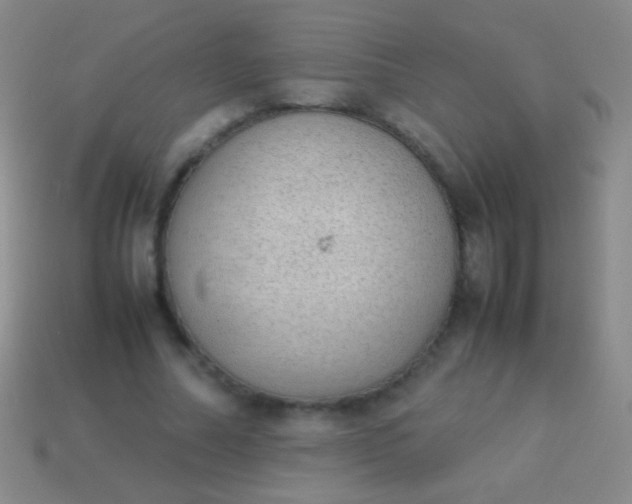 X0000114220682200910231443