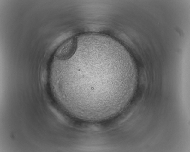 X0000114220683200910231443