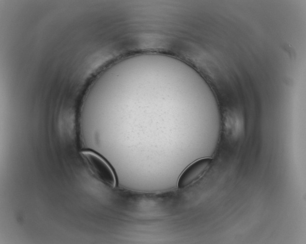 X0000114220684200910231443