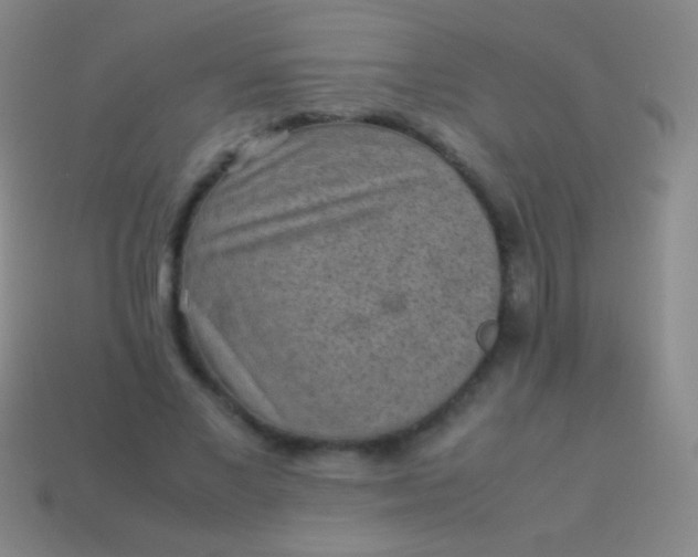 X0000114220685200910231443