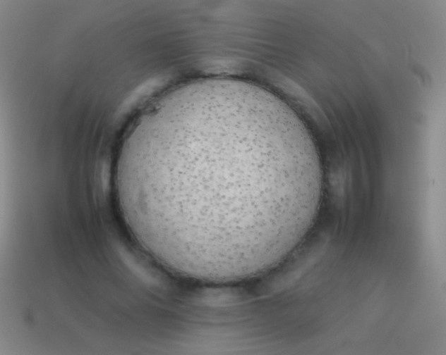 X0000114220686200910231443