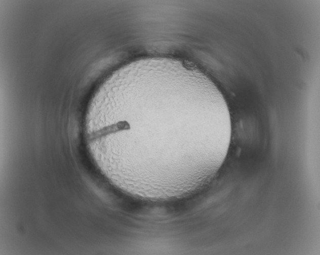 X0000114220687200910231443