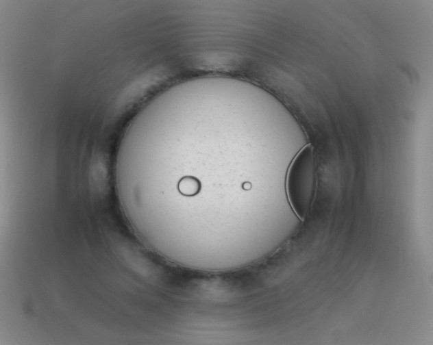 X0000114220688200910231443