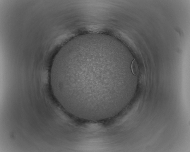 X0000114220689200910231443