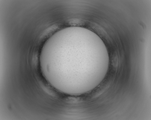 X0000114220690200910231443