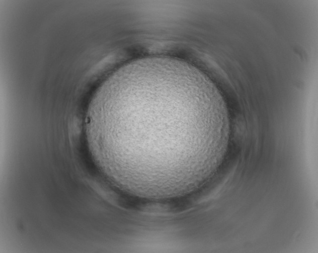 X0000114220691200910231443