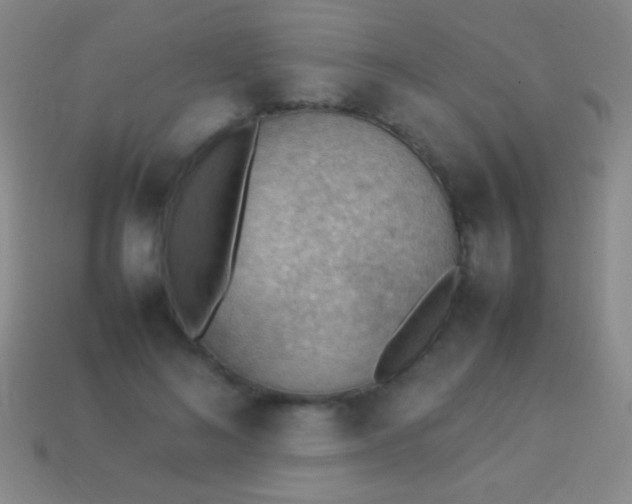 X0000114220692200910231443