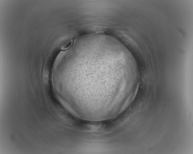 X0000114220693200910231443