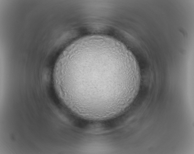 X0000114220695200910231443