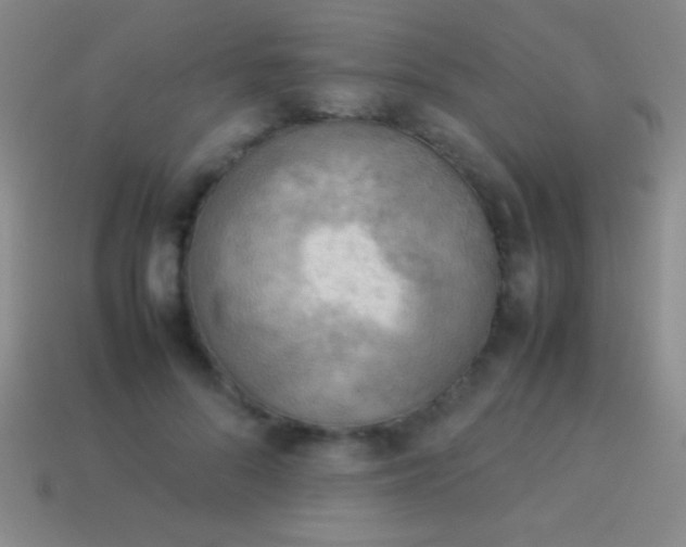 X0000114220696200910231443