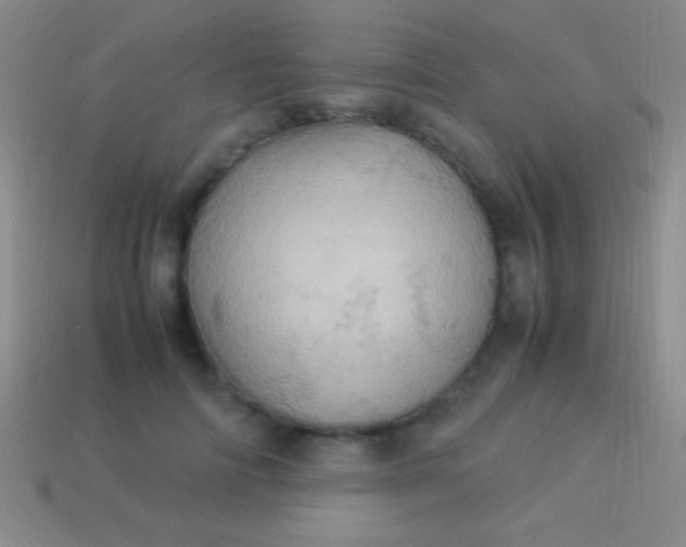 X0000114220698200910231443