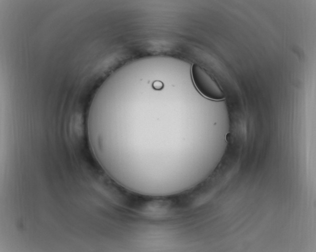 X0000114220700200910231443