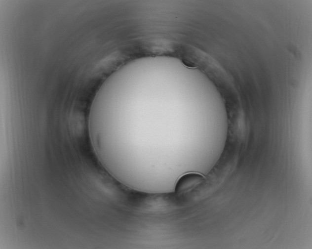 X0000114220704200910231443