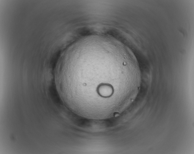 X0000114220707200910231443