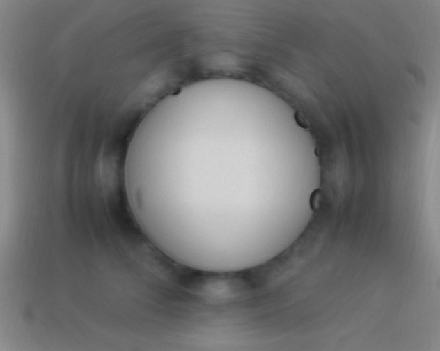 X0000114220708200910231443