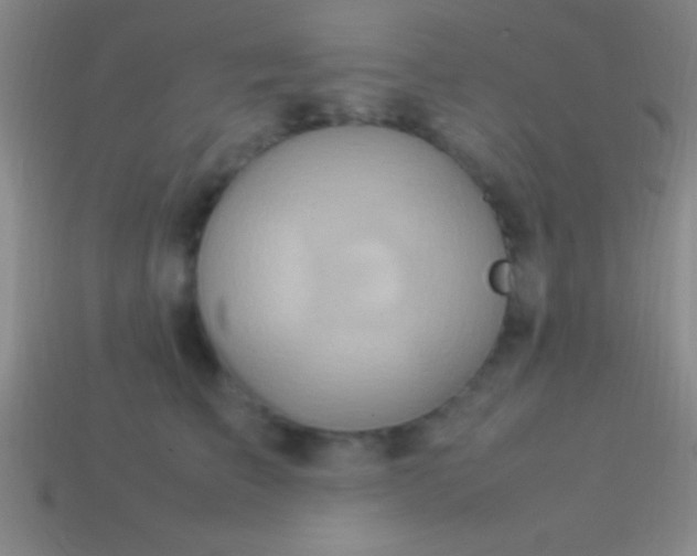 X0000114220709200910231443