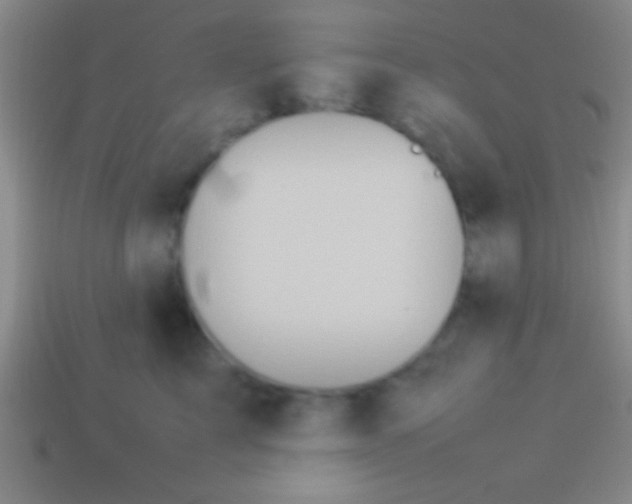 X0000114220713200910231443