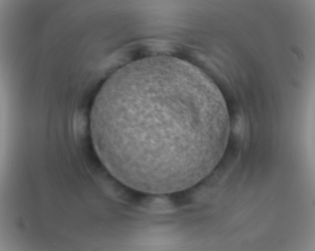 X0000114220715200910231443