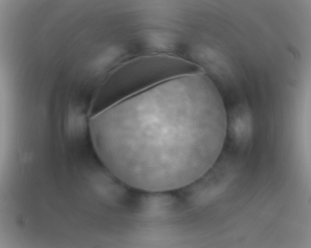 X0000114220716200910231443