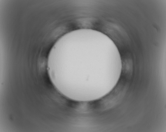 X0000114220717200910231443