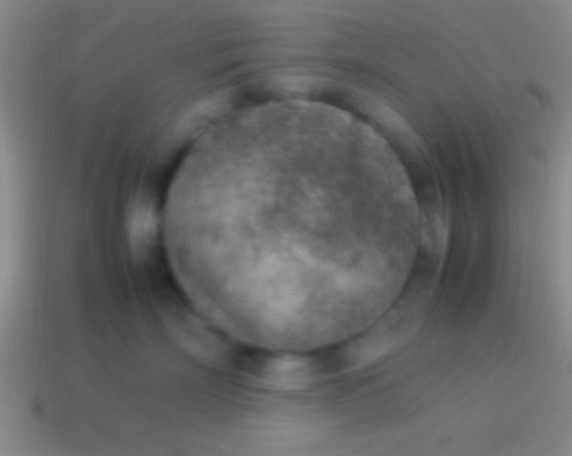 X0000114220718200910231443