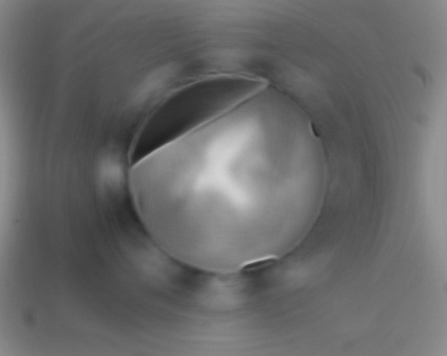 X0000114220720200910231443