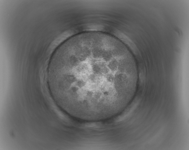 X0000114220721200910231442