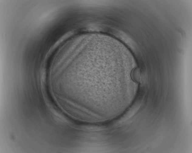 X0000114220722200910231442