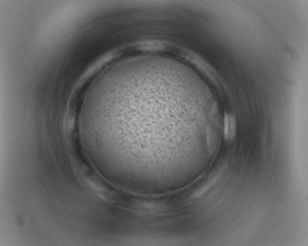 X0000114220723200910231442