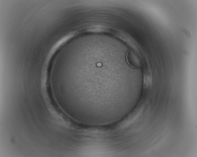 X0000114220724200910231442