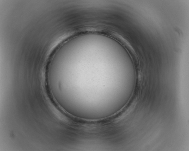 X0000114220725200910231442