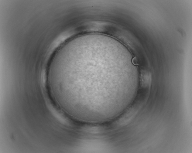 X0000114220726200910231442